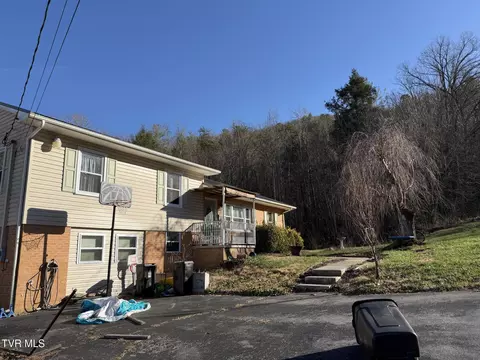 Exterior - 208 Sycamore Street Erwin Tn 37650, Erwin, TN 37650 photo 2 of 7