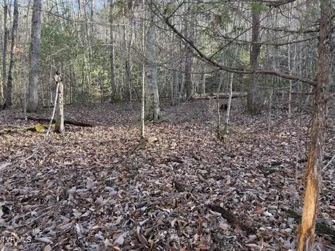 Other - 208 Sycamore Street Erwin Tn 37650, Erwin, TN 37650 photo 1 of 16
