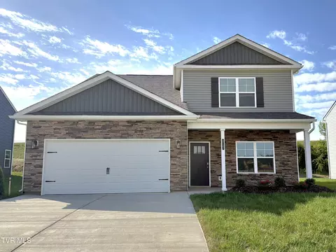 217 Artist Avenue Johnson City Tn 37615, Johnson City, TN 37615