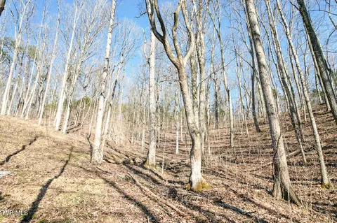 Other - 2087 Fodderstack Mountain Loop Greeneville Tn 37745, Greeneville, TN 37745 photo 14 of 23