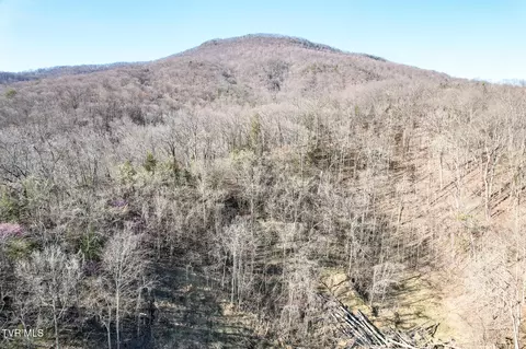 Other - 2087 Fodderstack Mountain Loop Greeneville Tn 37745, Greeneville, TN 37745 photo 21 of 23
