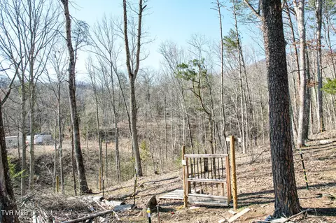 Exterior - 2087 Fodderstack Mountain Loop Greeneville Tn 37745, Greeneville, TN 37745 photo 7 of 16