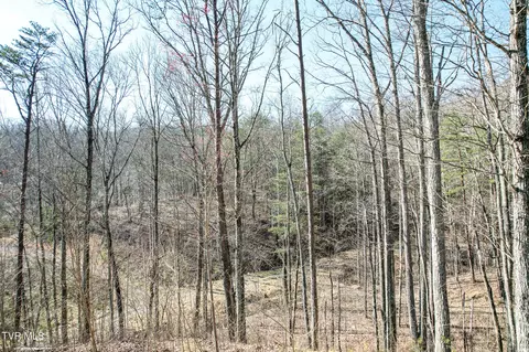 Other - 2087 Fodderstack Mountain Loop Greeneville Tn 37745, Greeneville, TN 37745 photo 6 of 23