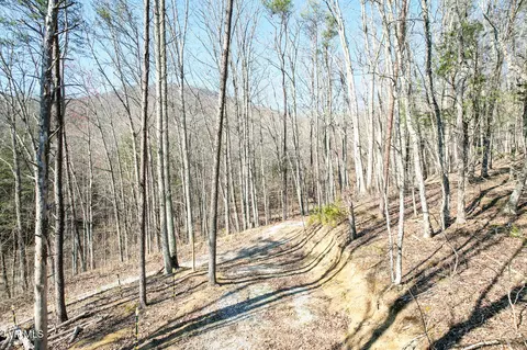 Other - 2087 Fodderstack Mountain Loop Greeneville Tn 37745, Greeneville, TN 37745 photo 5 of 23