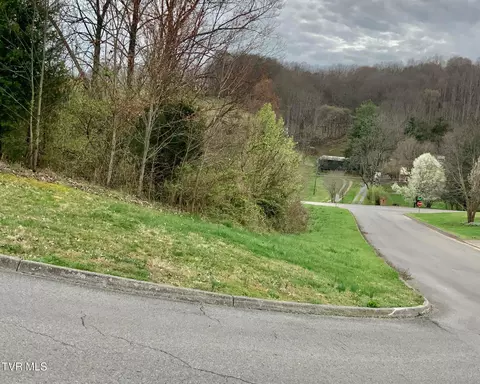 13 Highland Meadows Drive Blountville Tn 37617, Blountville, TN 37617