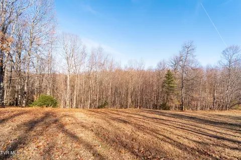 tbd Allison Timbers Road Piney Flats Tn 37686, Piney Flats, TN 37686