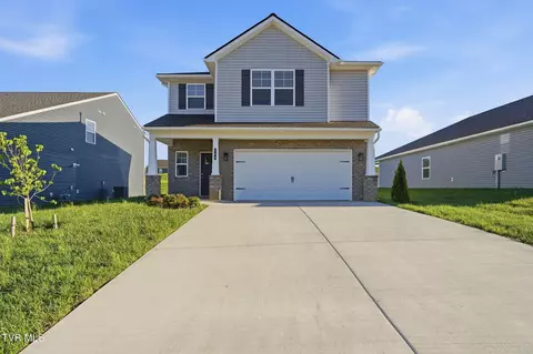 248 Chimney View Loop Blountville Tn 37617, Blountville, TN 37617