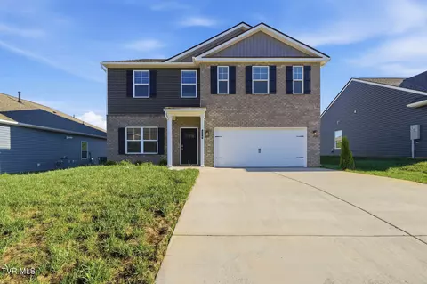 256 Chimney View Loop Blountville Tn 37617, Blountville, TN 37617