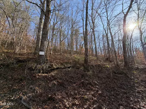 5 97 Avondale Hollow Road Rutledge Tn 37861, Rutledge, TN 37861 photo 4