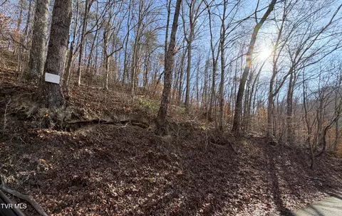 5 97 Avondale Hollow Road Rutledge Tn 37861, Rutledge, TN 37861 photo 2