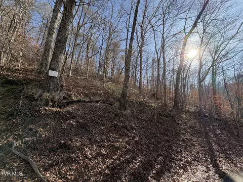 5 97 Avondale Hollow Road Rutledge Tn 37861, Rutledge, TN 37861 photo 3