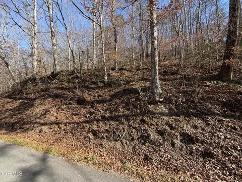 5 97 Avondale Hollow Road Rutledge Tn 37861, Rutledge, TN 37861 photo 6