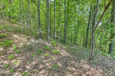Other - 520 Highway 93 Fall Branch Tn 37656, Fall Branch, TN 37656 photo 28 of 42