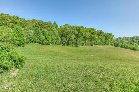 Other - 520 Highway 93 Fall Branch Tn 37656, Fall Branch, TN 37656 photo 30 of 42
