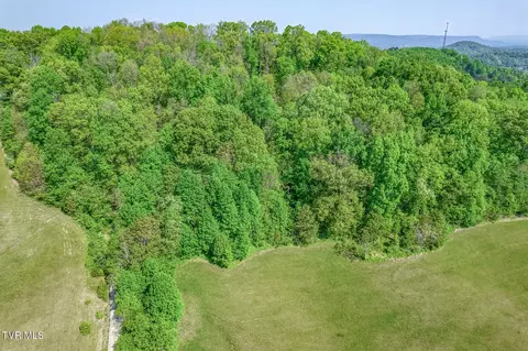 Other - 520 Highway 93 Fall Branch Tn 37656, Fall Branch, TN 37656 photo 42 of 42