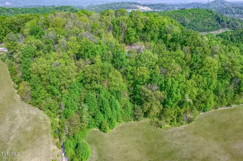 Other - 520 Highway 93 Fall Branch Tn 37656, Fall Branch, TN 37656 photo 41 of 42