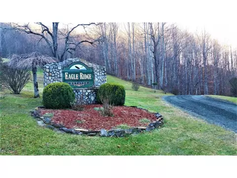 11 Roan Springs Lane Roan Mountain Tn 37687, Roan Mountain, TN 37687