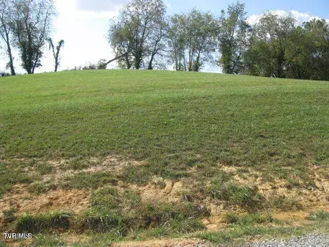 lot33 Vineyard Farms Parkway Butler Tn 37640, Butler, TN 37640