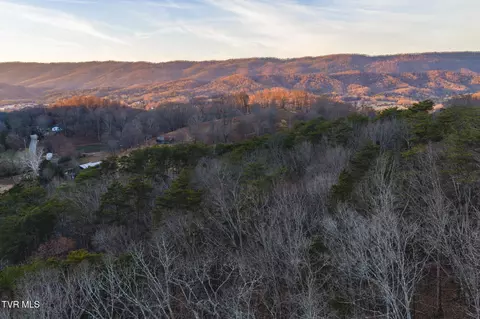 1655 Lester Whitt Road Rutledge Tn 37861, Rutledge, TN 37861