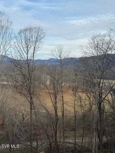 tbd Mining Ridge Road Mountain City Tn 37683, Mountain City, TN 37683