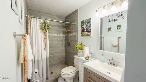 1144 Cherry Blossom Lane Talbott Tn 37877, Talbott, TN 37877 photo 53
