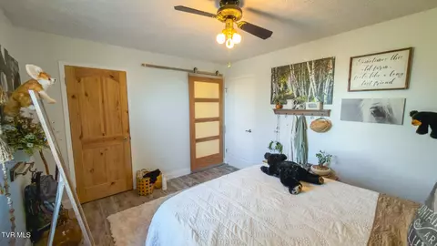 1144 Cherry Blossom Lane Talbott Tn 37877, Talbott, TN 37877 photo 58