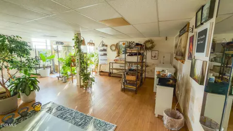 1144 Cherry Blossom Lane Talbott Tn 37877, Talbott, TN 37877 photo 68