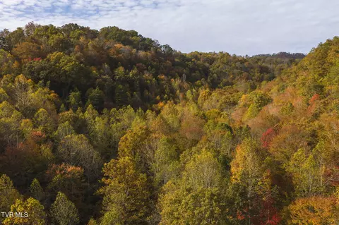 89 Acres Lynn Flanary Road Blackwater Va 24221, Blackwater, VA 24221