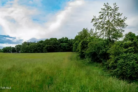 tbd Old Hall Road Parcels 3 4 Limestone Tn 37681, Limestone, TN 37681 photo 3
