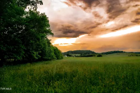 tbd Old Hall Road Parcels 3 4 Limestone Tn 37681, Limestone, TN 37681 photo 13