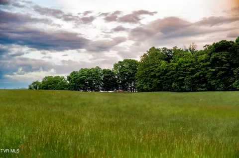 tbd Old Hall Road Parcels 3 4 Limestone Tn 37681, Limestone, TN 37681 photo 5