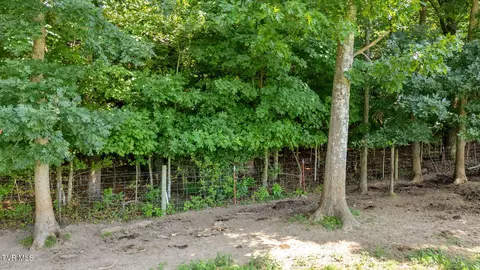 tbd Old Hall Road Parcels 3 4 Limestone Tn 37681, Limestone, TN 37681 photo 33