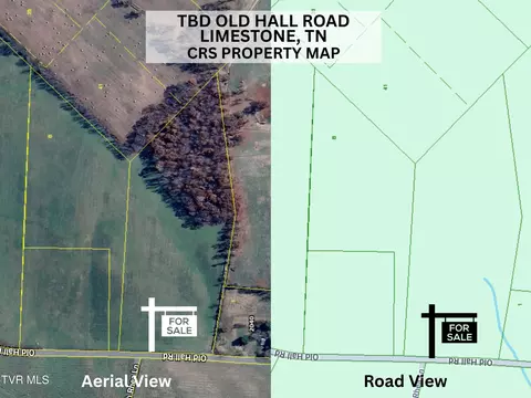 tbd Old Hall Road Parcels 3 4 Limestone Tn 37681, Limestone, TN 37681 photo 8