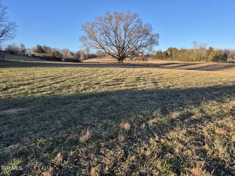 0 Cw Kite Ln Mosheim Tn 37818, Mosheim, TN 37818
