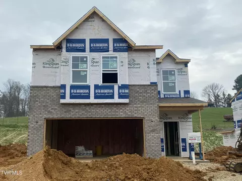 119 Mint Court Bluff City Tn 37618, Bluff City, TN 37618