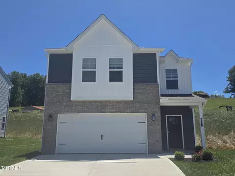 123 Mint Court Bluff City Tn 37618, Bluff City, TN 37618
