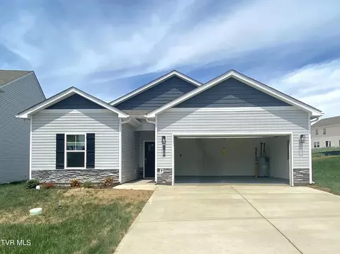 126 Mint Court Bluff City Tn 37618, Bluff City, TN 37618