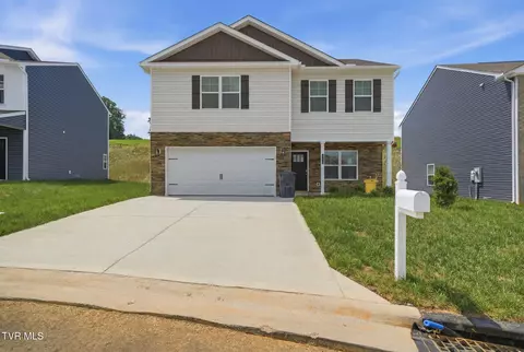 127 Mint Court Bluff City Tn 37618, Bluff City, TN 37618