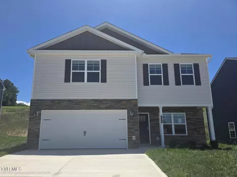 127 Mint Court Bluff City Tn 37618, Bluff City, TN 37618