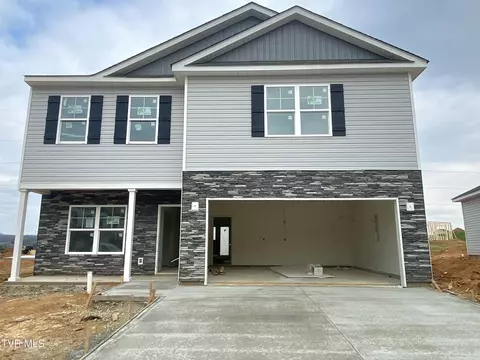 138 Mint Court Bluff City Tn 37618, Bluff City, TN 37618