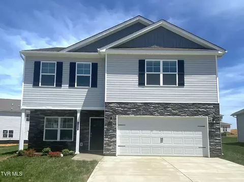 138 Mint Court Bluff City Tn 37618, Bluff City, TN 37618