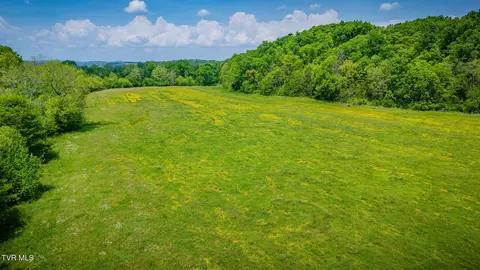 Other - 2105 Flea Ridge Road Mohawk Tn 37810, Mohawk, TN 37810 photo 20 of 21