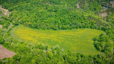 Other - 2105 Flea Ridge Road Mohawk Tn 37810, Mohawk, TN 37810 photo 19 of 21