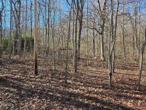 00 Luguna Road Pound Va 24279, Pound, VA 24279 photo 4