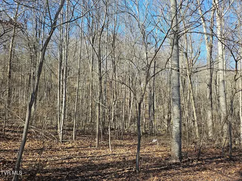 00 Luguna Road Pound Va 24279, Pound, VA 24279