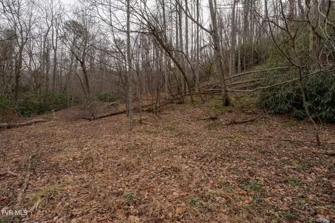 tbd Laurel Road Mountain City Tn 37683, Mountain City, TN 37683