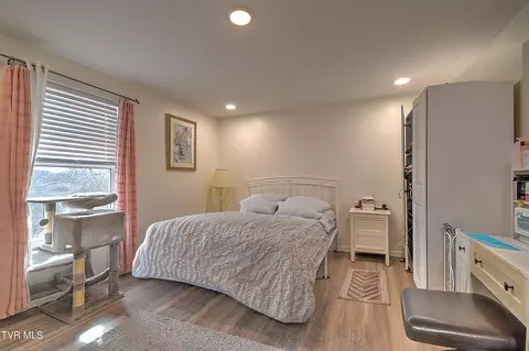 Bedroom - 127 Patrick Lane Gray Tn 37615, Gray, TN 37615 photo 10 of 10