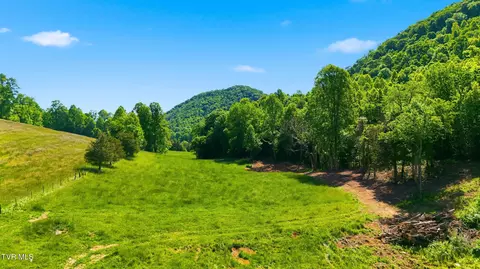Tba Kingdom Rd, Duffield, VA 24244 photo 3