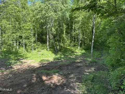 Tba Kingdom Rd, Duffield, VA 24244 photo 12