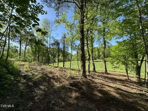 Tba Kingdom Rd, Duffield, VA 24244 photo 10